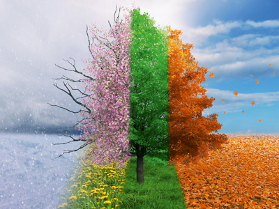 Ein Baum, gleichzeitig in vier Jahreszeiten